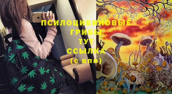 твердый Билибино
